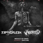 KF_Amorphis_PosterA1.eps