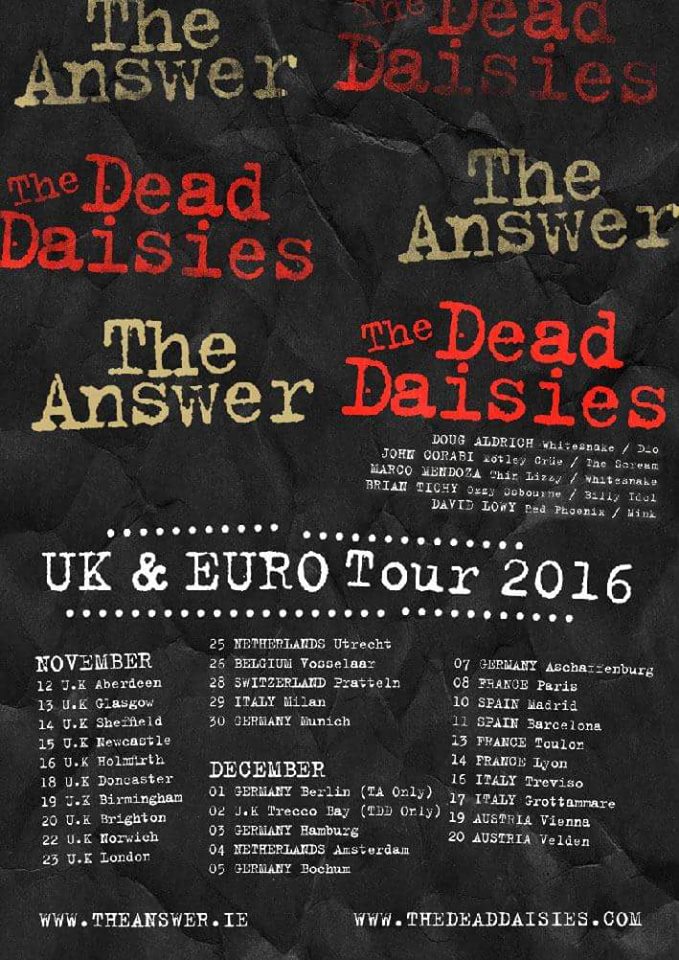 the answer - the dead daisies