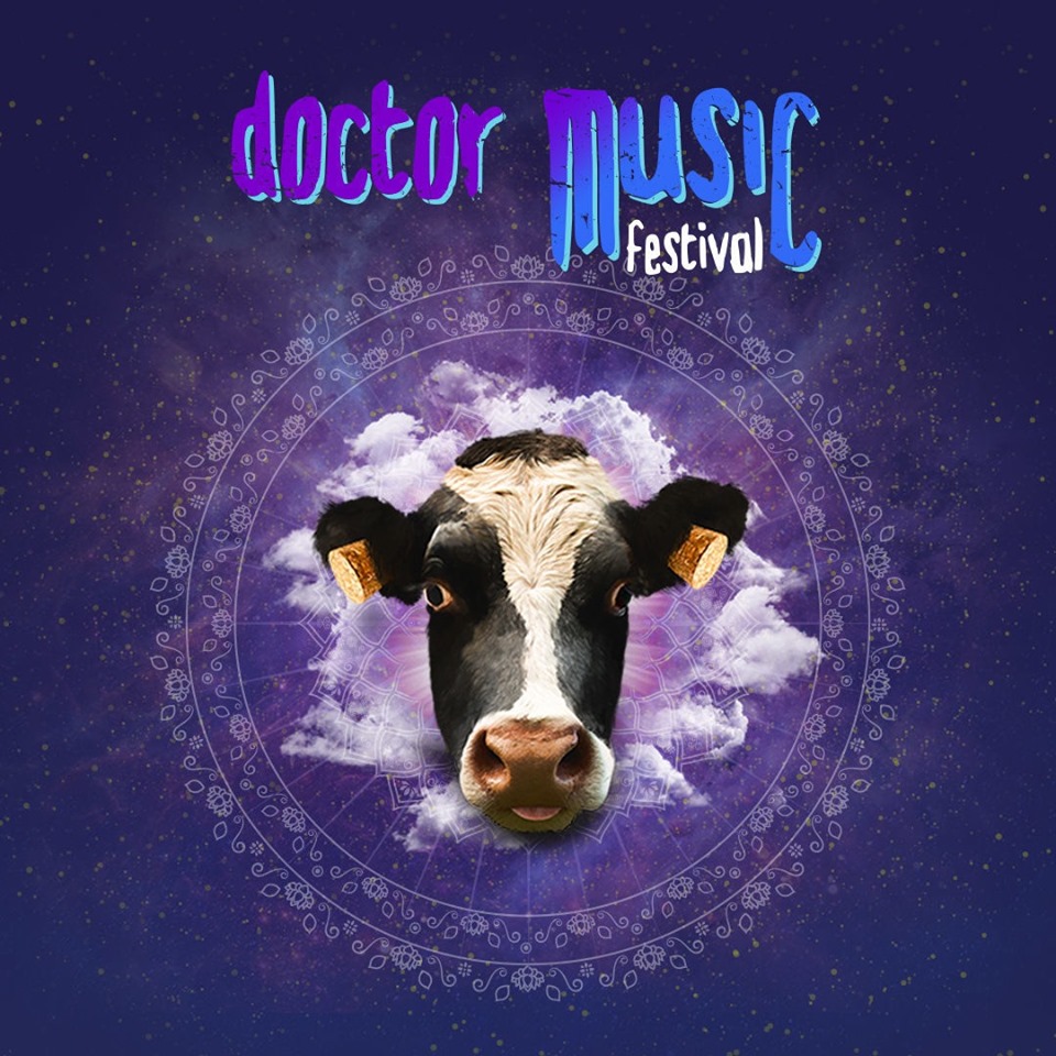 doctor music festival pic 1