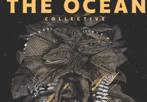 the ocean collective pic 1