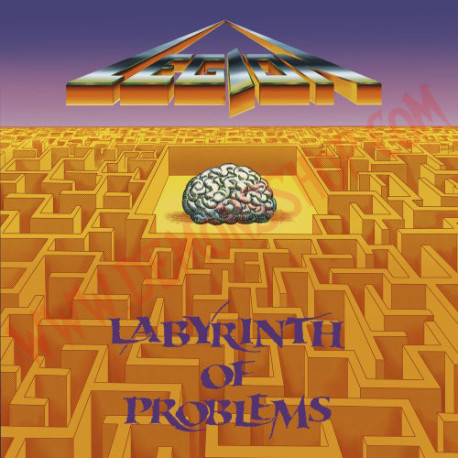 legion - labyrinth of problems