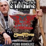 concierto solidario por pedro pic 2