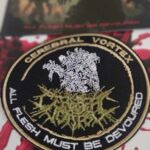 cerebral vortex parche